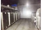 NSSPL - Individual Quick Freezing & Processing Plant