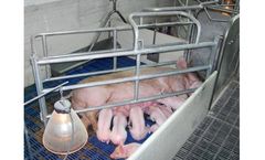 Gong - Farrowing Room