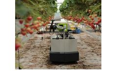 Rubion - Strawberry Picking Robot