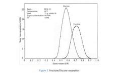 Chromatography Ion Exchange Resin