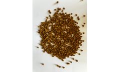 Gazpack - Model SULAFER®  - H2S removal by SULAFER® is safer, easier and an eco-friendlier alternative for gas upgrading.