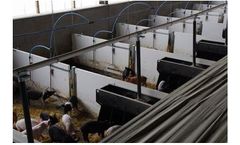 Henderson - Heavy Duty Plastic Panels System for Pig Penning & Gates.