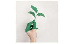 Cellulose Powders for Coatings