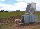 Apollo - Outdoor Electronic Sow Feeding System