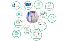 Lifeasible Released an Exclusive Qualitative and Quantitative Pollen Composition Analysis Service