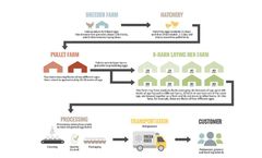 PoultryCare - Fully Integrated System