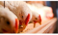 PoultryCare - Medication Module