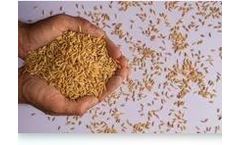 ABS - Seed Software