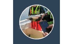 Anteo FishCtrl - Fish Wellfare Data Analytical Tool