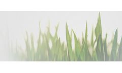 B2B Marketing for Environmental Compliance