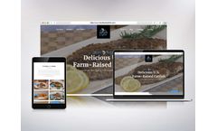 Trindgroup - Creative Design Service