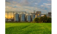 Cooperative - Grain Origination Services