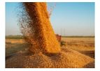 Grain Producer and Trader Services