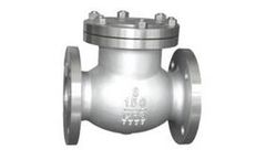 MRFM - Model ANSI/ASME - Swing Check Valve