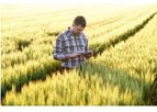 Pear - Professional Crop Management Software for Agronomists