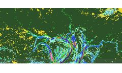 SarVision - Baseline Mapping Software