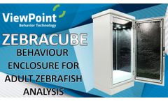 Zebracube - Adult fish monitoring - Video