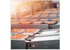 AnimalSoft - Egg Grading and Packing Software