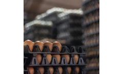 AnimalSoft - Egg Production Commercials Software