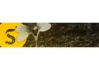 Smag - Seed Production Software