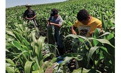 Monitoring and forecasting soil moisture