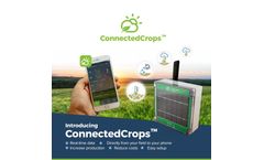 Product Catalog