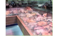 Dry Mist Technology for Meat