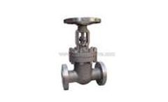 Zigong - Wedge Gate Valve