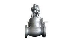 Zigong - Globe Valve