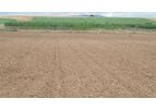 Mater-BI - Mulching Film