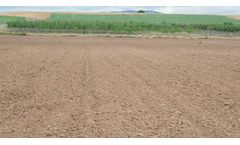Mater-BI - Mulching Film