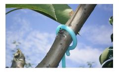 Mater-BI - Pheromones for Mating Disruption