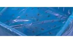 Polystar - Food Grade Dolav Liners