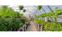 Polystar - Greenhouse Plastic Sheeting Films