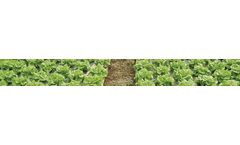 Acosol - Model Pt-Ng - Silver & Black Mulch Film