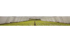 Indasol - White Greenhouse Covering