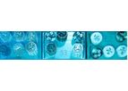 Sterigenics - Gamma Irradiation Technology