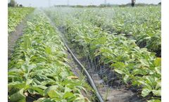 Baoding Mingwang - Micro-Spray Tape