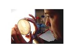 IWE - Water Analysis Service