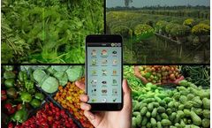 Small Farmers Agri-business Consortium – Haryana  - Case Study