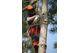 Scullion Tree Care Ltd