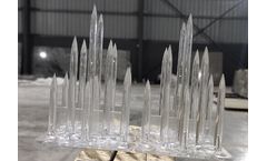 Bird Spikes