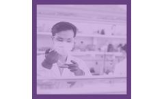 A Guide To Laboratory Etiquette