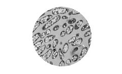 Bioextrax - Model PHA - Bio-Based and Bio-Degradable Plastics