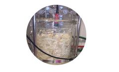 Bioextrax - Organic Hydrolyzed Protein