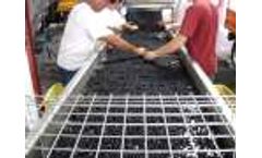 PMH-Vinicole - Grape Sorting Table - Video