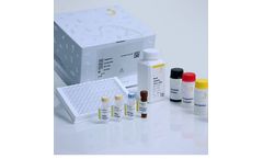 Casein - Elisa Kit