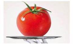 Fenco - Tomato Paste Production Equipment