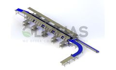 Olimpias - Table Grapes Processing Line