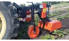 Rotary cultivator on strawberry plantation - Video